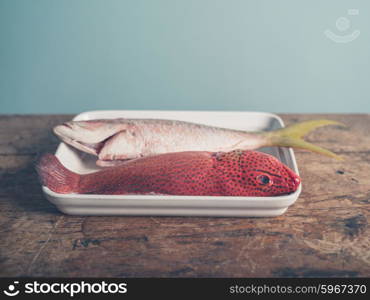 Two colorful exotic fish placed in a tray, a red butterfish and a Carribean snapper