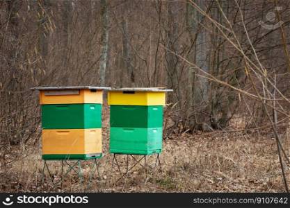 Two colourful beehives standing in a forest, spring day