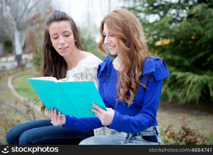 Two cool college girls studying on campus