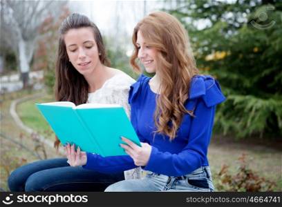 Two cool college girls studying on campus