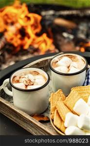 two cup of cocoa or hot chocolate and skewers of roasted marshmallows over campfire. autumn holidays outdoors treats