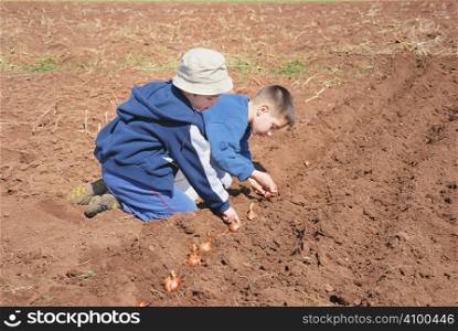 Two cute boys playing and sowing onion.