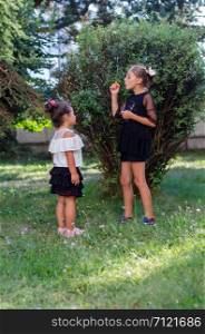 Two cute sisters are playing with soap bubbles in the garden