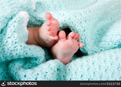 Two cute tiny baby feet wrapped in a blue-green aqua knitted blanket.