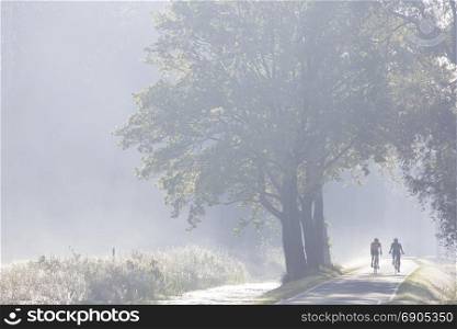 two cyclists on country road in the netherlands in morning mist near utrecht on utrechtse heuvelrug