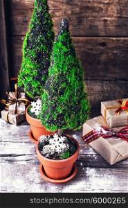 Two decorative cypress. small symbolic cypress tree in pot decorated with snowflake and boxes with Christmas gifts