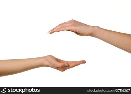 Two different female hands, from above and from below. Isolated on a white background