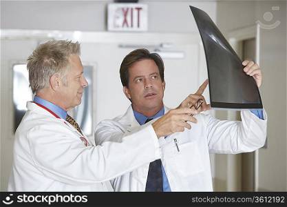 Two doctors looking at x-ray image in hospital