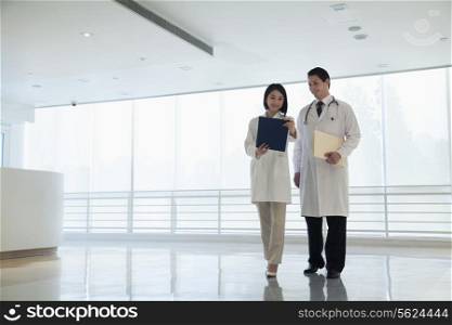 Two doctors standing and looking down at a document in the hospital, full length