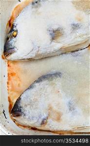 two dorada fish baked in salt