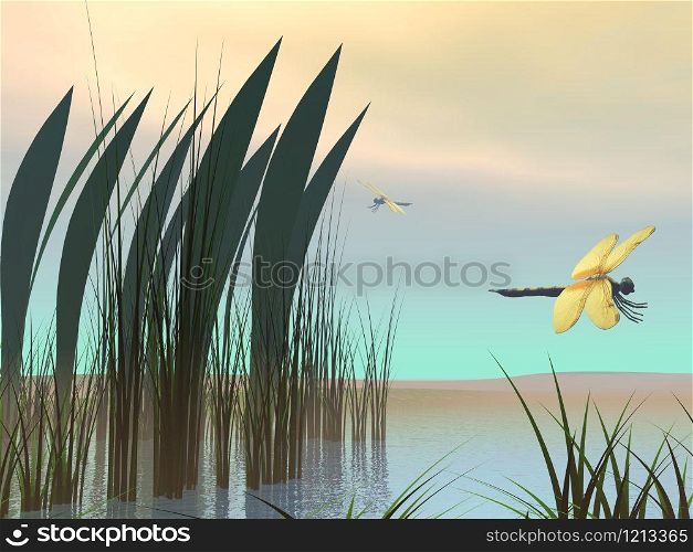 Two dragonflies flying upon a pond by morning light