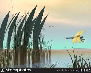 Two dragonflies flying upon a pond by morning light