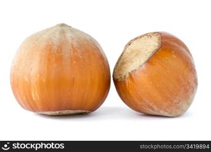 two dried hazelnuts over a white background