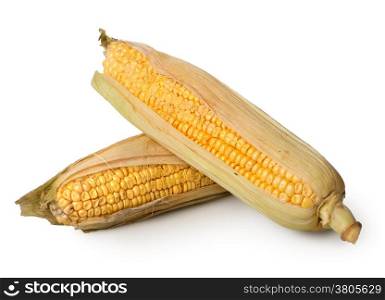 Two ears of corn isolated on a white background