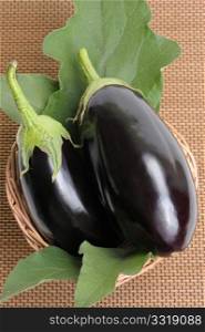 Two eggplants of black colour in a basket on leaves