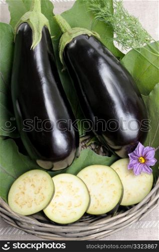 Two eggplants of black colour in a basket on leaves and the cut slices