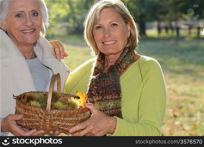Two elderly females gathering chestnuts