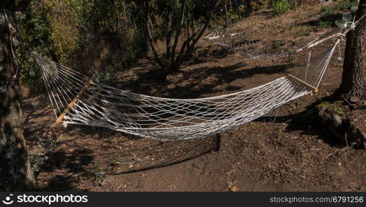 Two empty hammocks in the woods close-up