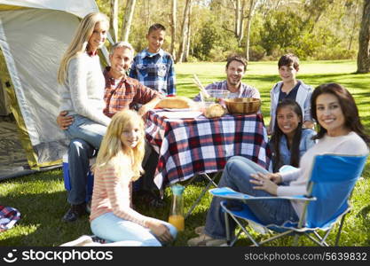 Two Families Enjoying Camping Holiday In Countryside