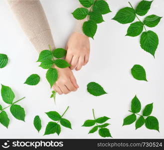 two female hands and green leaves, top view, concept of anti-aging procedures for rejuvenating and moisturizing the skin