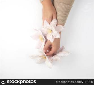 two female hands holding blooming white clematis buds on a whigte background, fashionable concept for hand care, anti-aging care, spa treatments