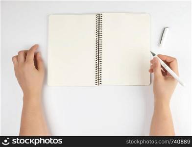 two female hands holding open notepad with clean sheets on a white background, top view