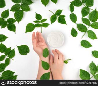 two female hands of a young girl with smooth skin and round jar with thick white cream, white background with green leaves of raspberry, concept of spa treatments for the skin