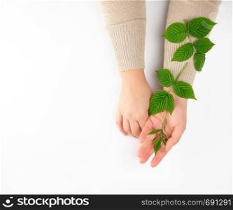 two female hands of a young girl with smooth skin, white background, concept of spa treatments for skin, copy space