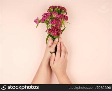 two female hands with light smooth skin and buds of a blossoming Turkish carnation on a biege background, fashionable concept of skin care and spa treatments, flat lay