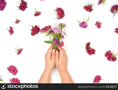 two female hands with light smooth skin and buds of a blossoming Turkish carnation on a white background, fashionable concept of skin care and spa treatments, flat lay