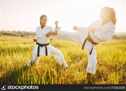 Two female karate in kimono training combat skill in summer field. Martial art workout outdoor, technique practice, photo manipulation with background. Two female karate in kimono training combat skill