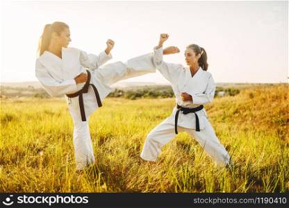 Two female karate with black belts fight in summer field. Martial art fighters on workout outdoor, technique practice