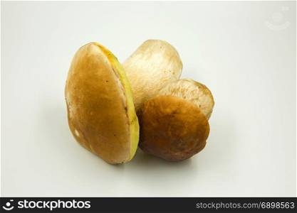 Two fresh boletus (Boletus edulis) isolated on white background. Clearly visible hat structure .Close, horizontal view.