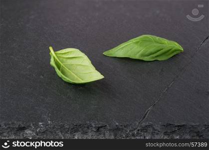 two fresh green basil leaves on a black stone slate plate