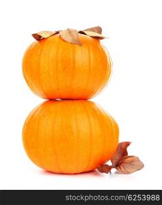 Two fresh pumpkins isolated on white with dry leaves