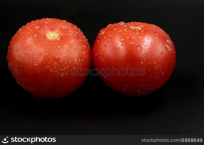 Two fresh red watered tomatoes with clearly visible droplets isolated on black background.Close, horizontal view