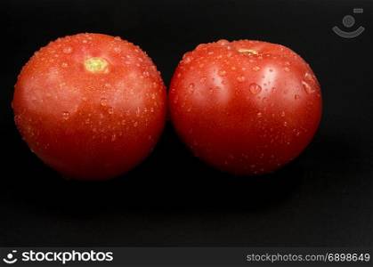 Two fresh red watered tomatoes with clearly visible droplets isolated on black background.Close, horizontal view