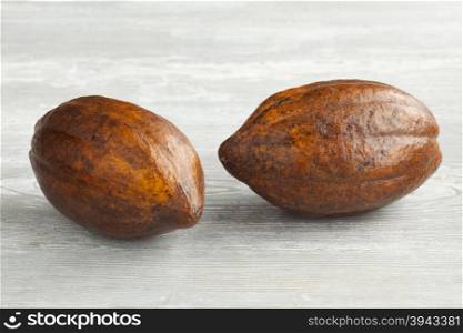 Two fresh ripe cacao fruit