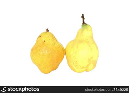 Two fresh ripe quince isolated on white