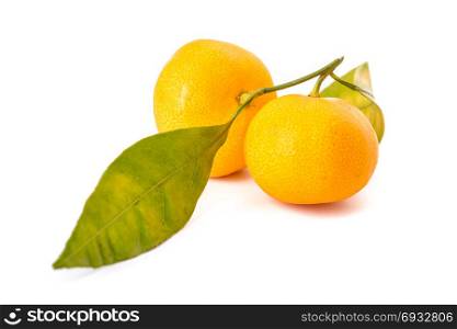 two fresh tangerines isolated on white background