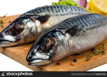 two fresh uncooked mackerel with lemon, onion, spices on wooden board
