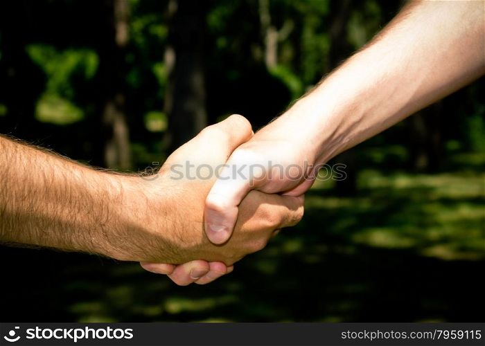 Two friends closing a deal with a handshake in the forest
