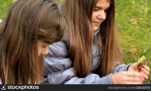 two friends collect autumn leaves.