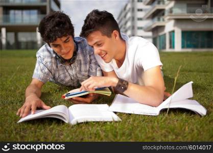 Two friends studying at the park