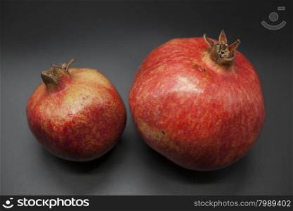 Two fruit juicy Spanish pomegranate on a dark background.. Two fruit juicy Spanish pomegranate on a dark background