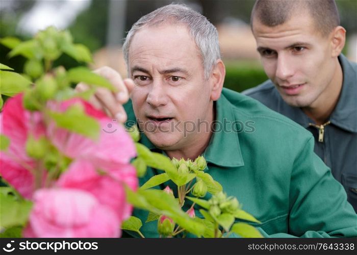 two gardeners kneeling on the ground and placing new plants