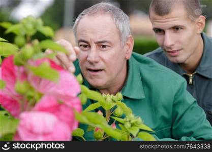 two gardeners kneeling on the ground and placing new plants