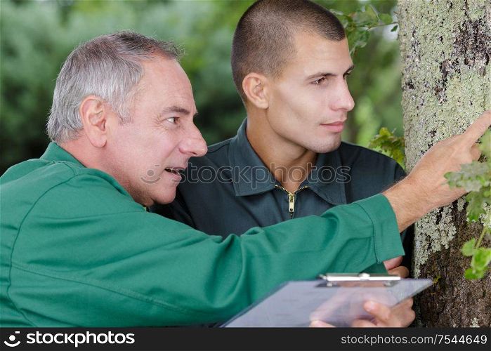 two gardeners looking at a plant