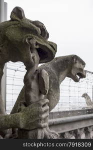 Two gargoyles, one licking what appears to be a bone, stand on the Avenue of Gargoyles on Notre Dame Cathedral in Paris.