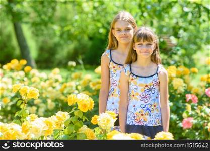 Two girls stand in a beautiful flower garden of roses